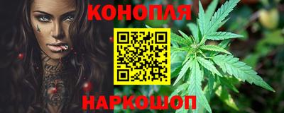 прущие грибы Будённовск