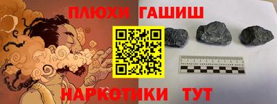 прущие грибы Будённовск