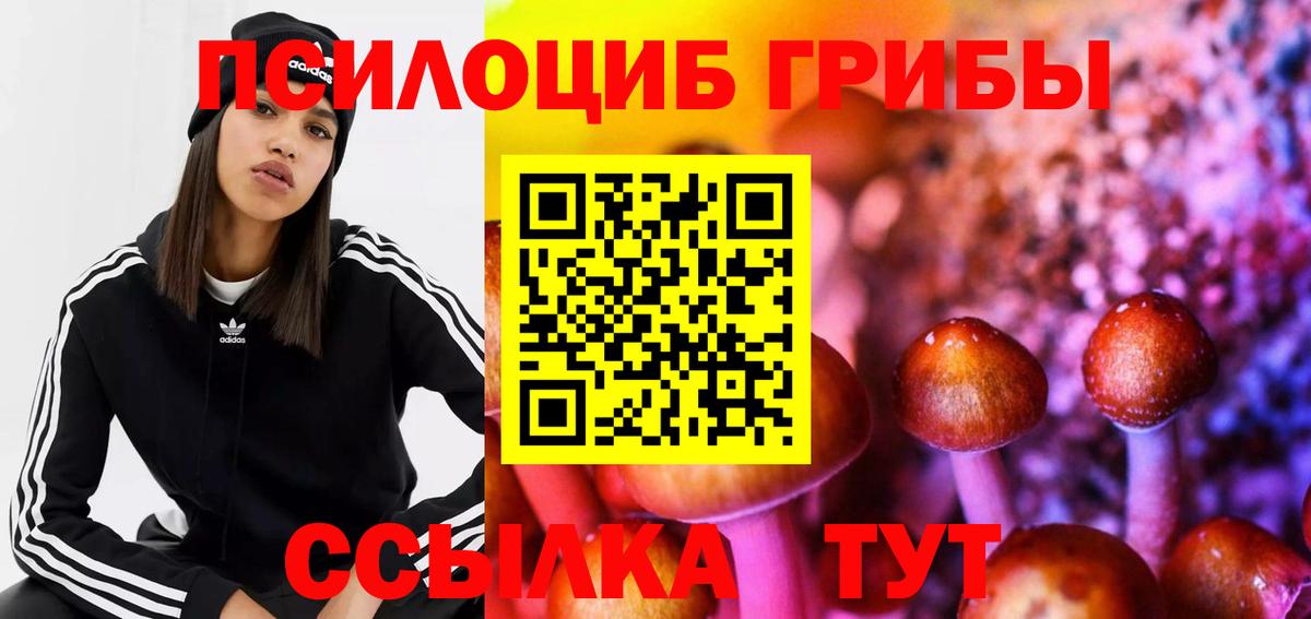 Сызрань  Галлюциногенные грибы Cubensis  Галлюциногенные грибы Cubensis  Вход с VPN 