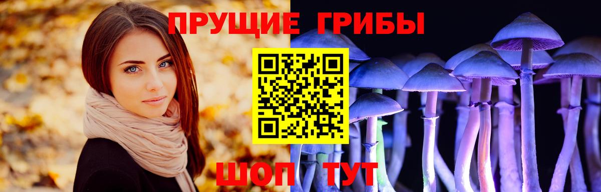 Псилоцибиновые грибы Magic Shrooms Сызрань